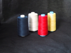 polyester-shinito.jpg